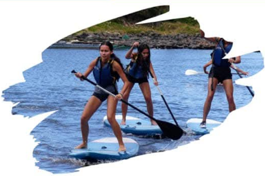 Stand Up Paddle