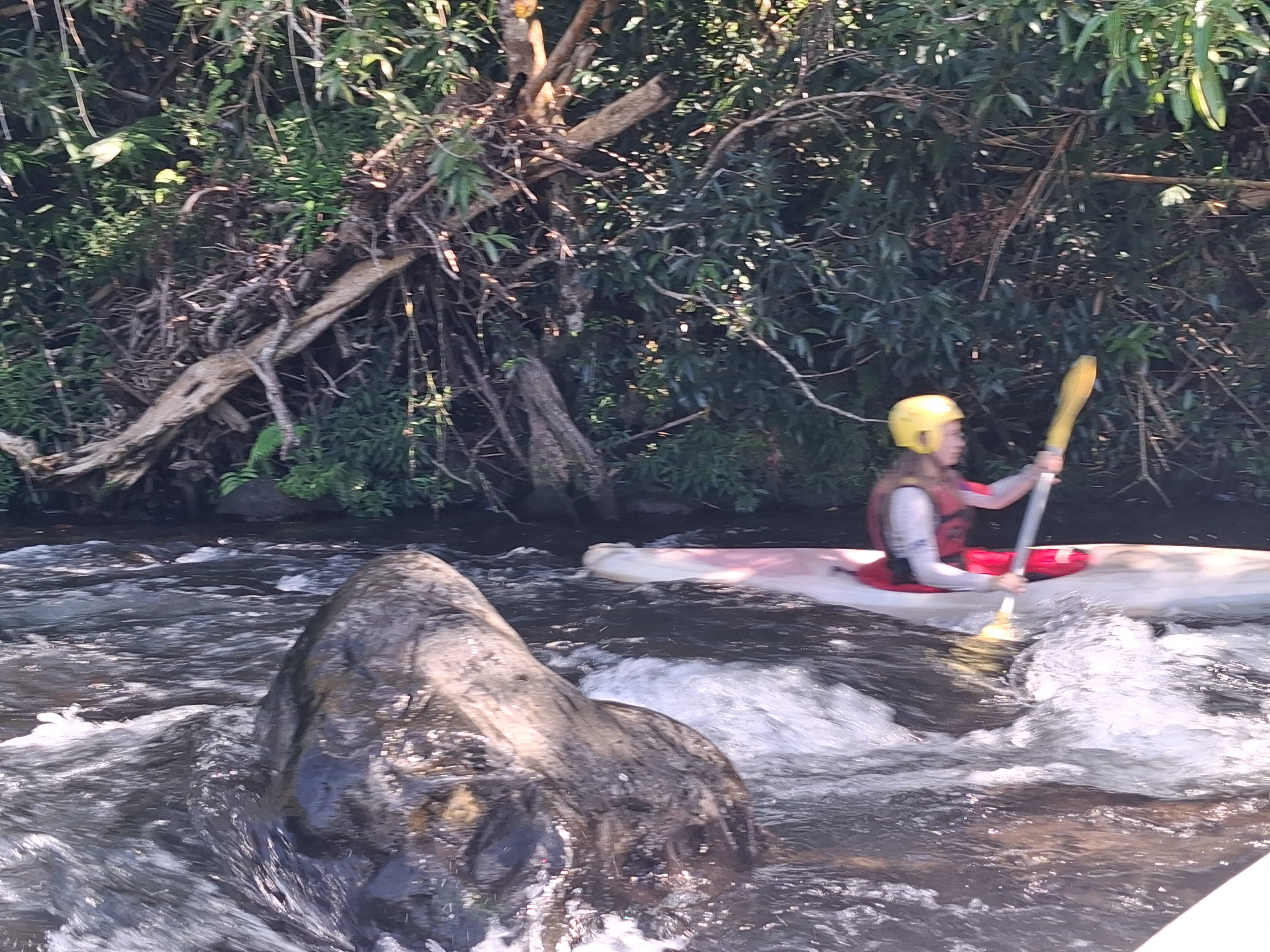 Rivière des Marsouins