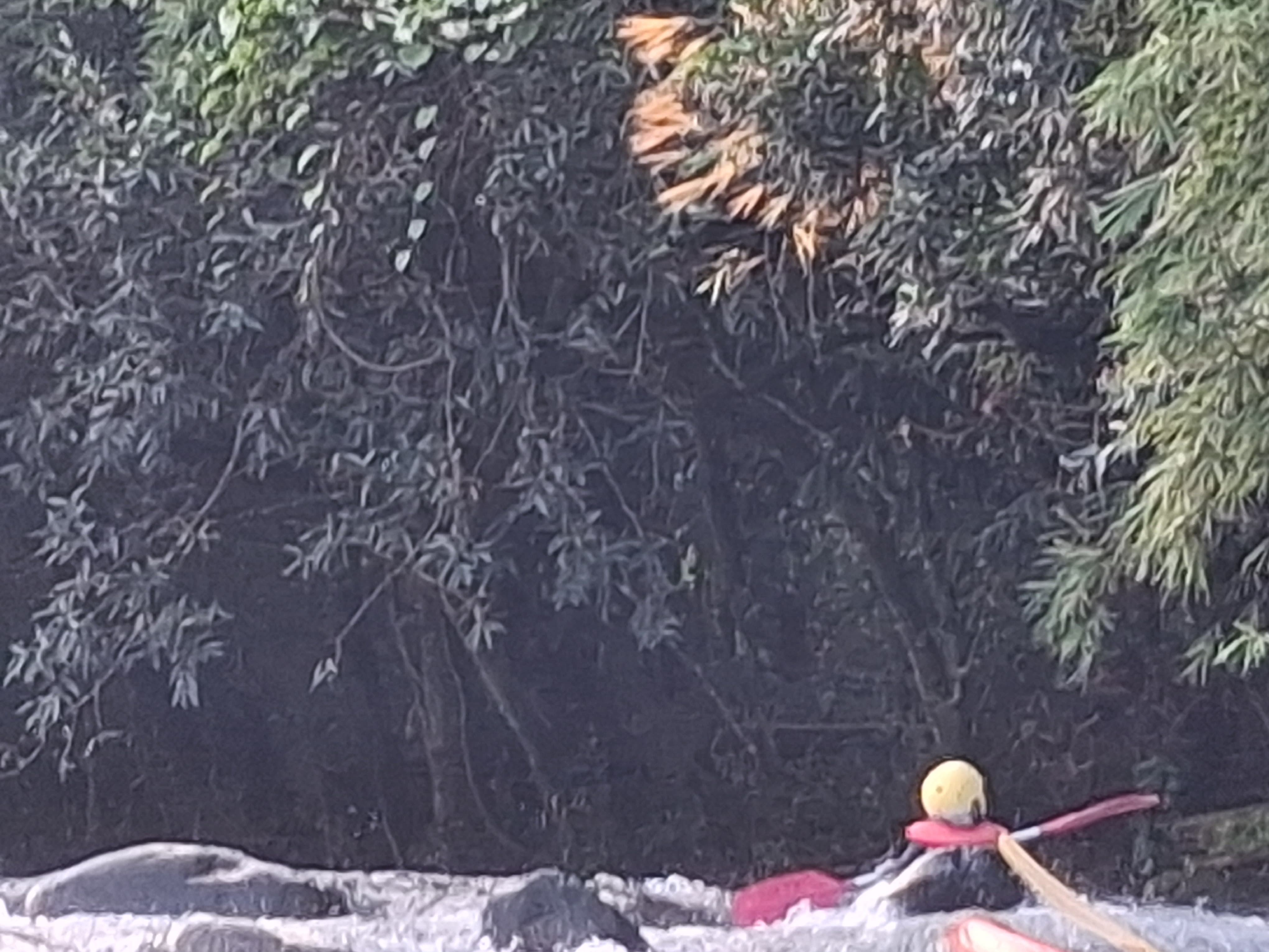 Rivière des Marsouins
