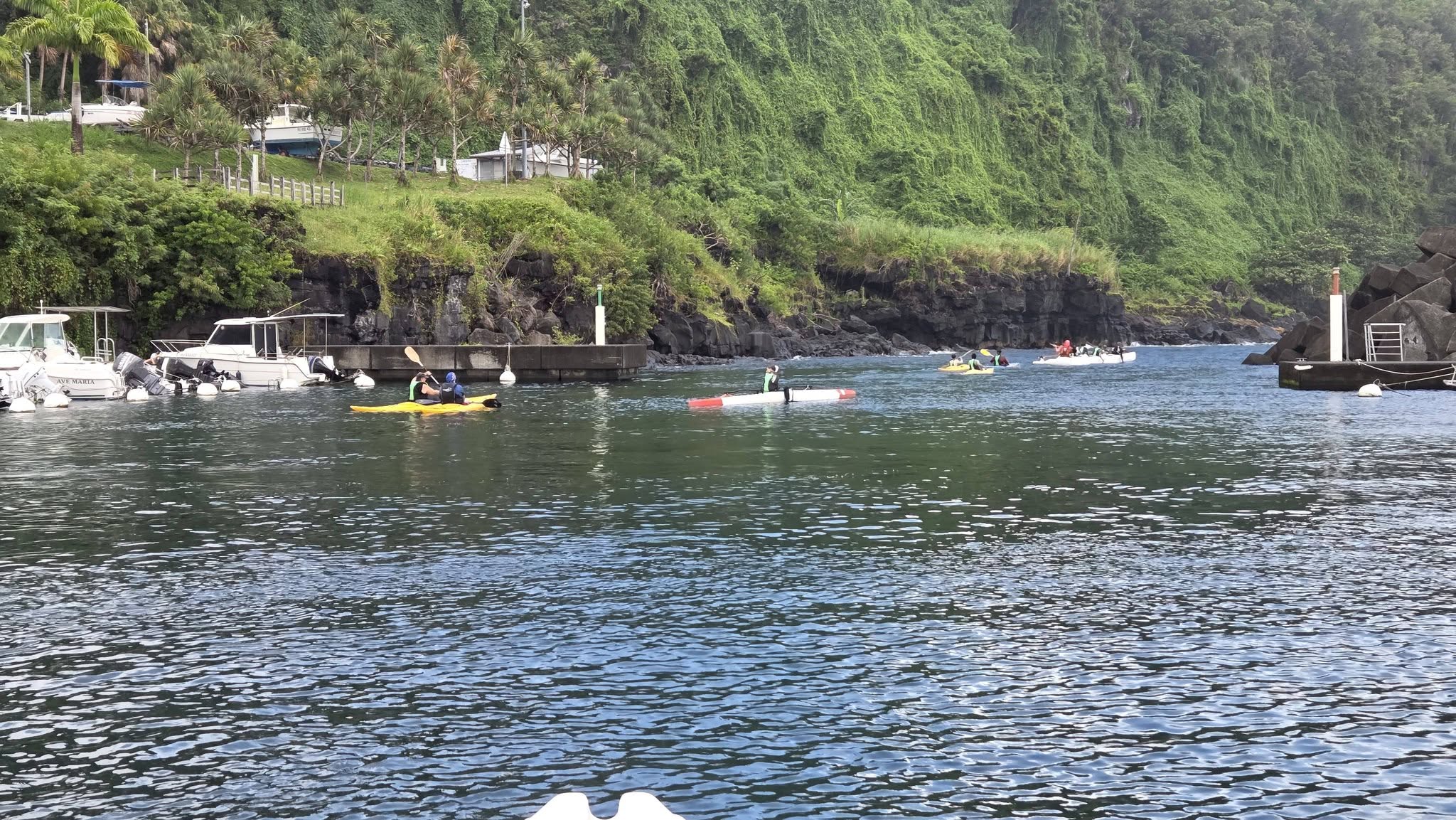 Sortie en mer du 02 mai 2026
