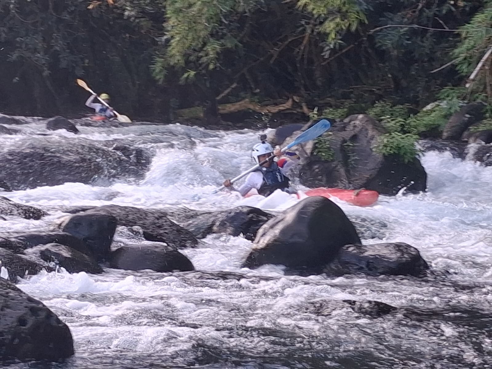 Rivière des Marsouins