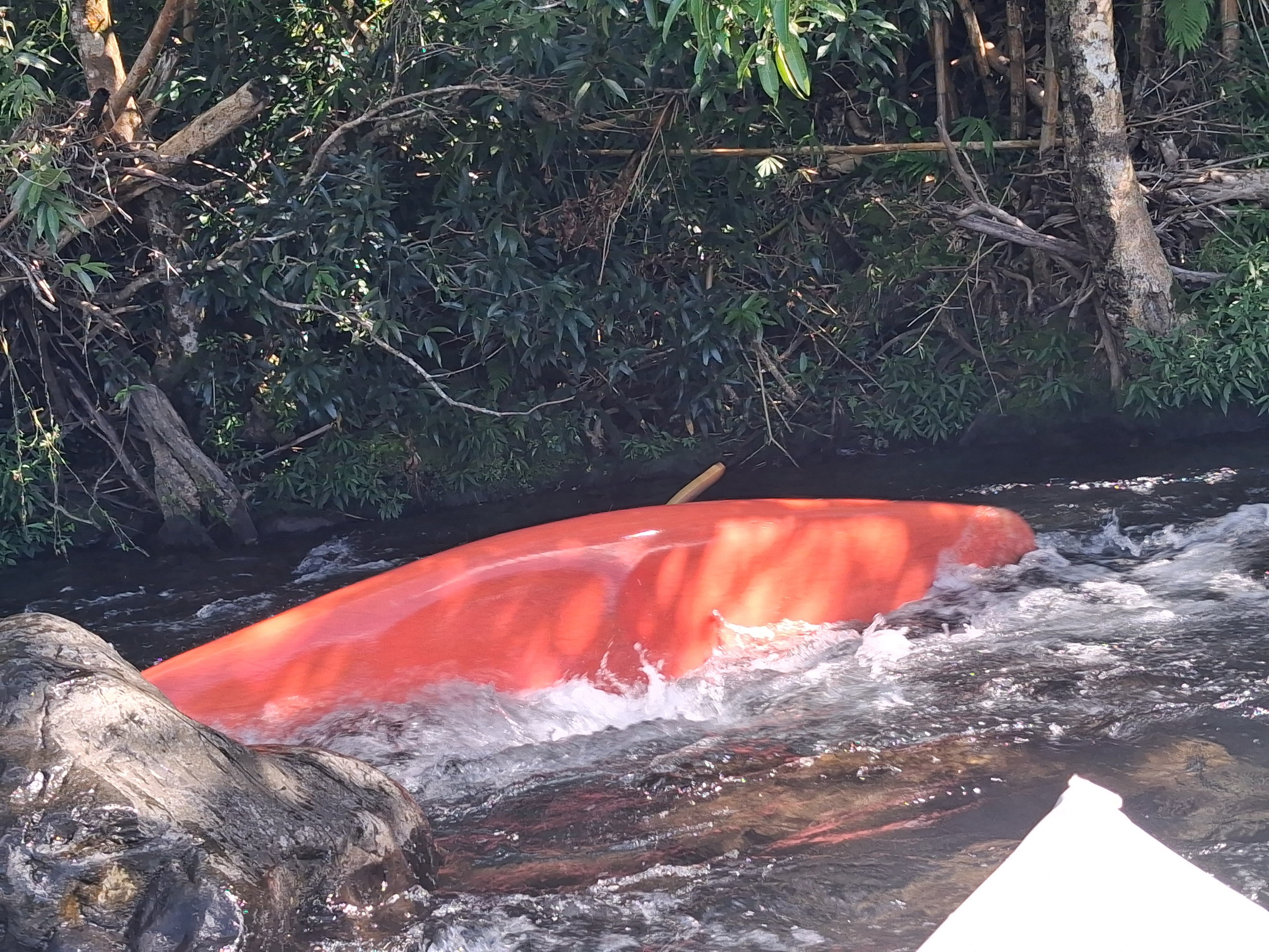 Rivière des Marsouins