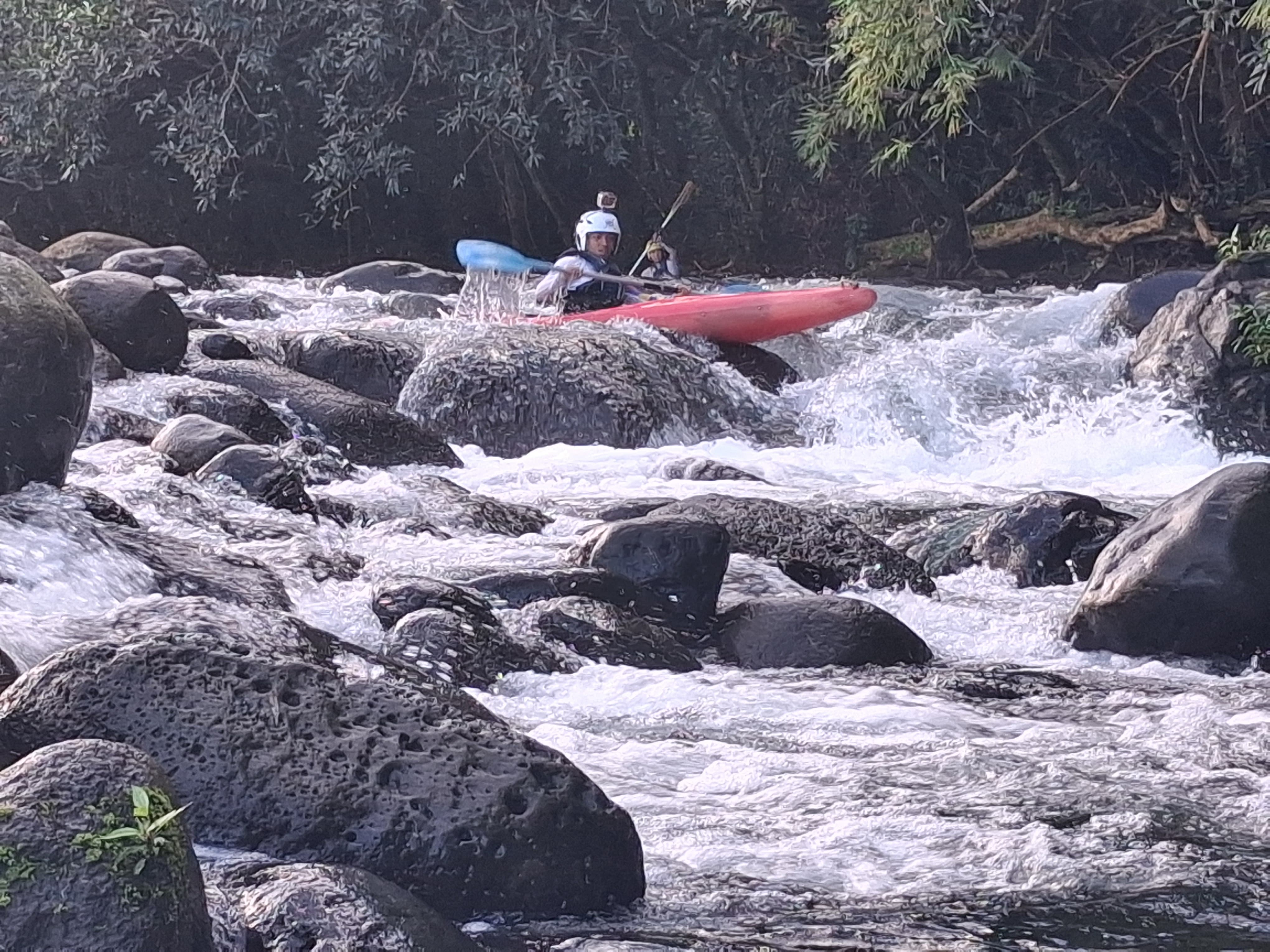 Rivière des Marsouins