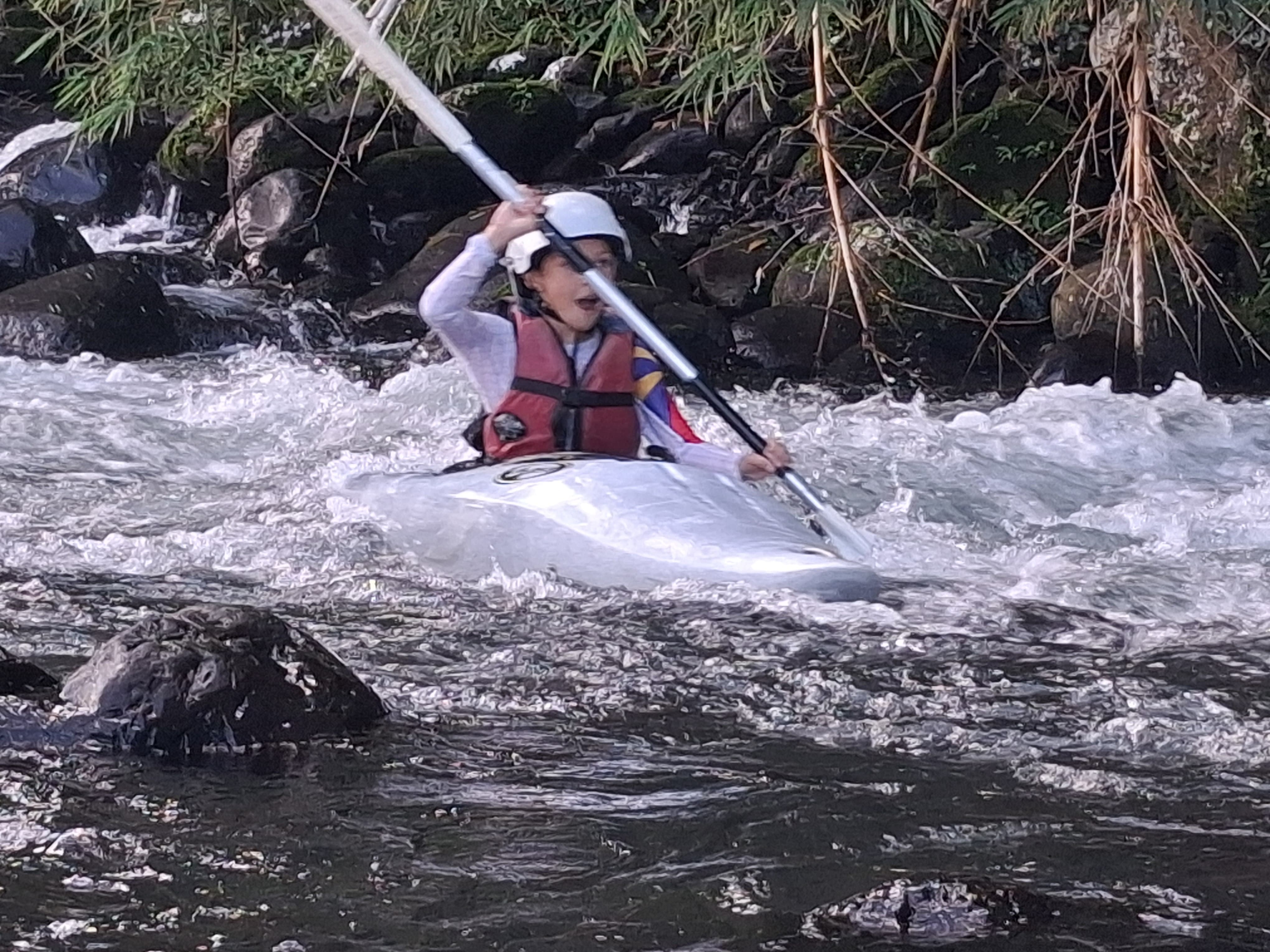 Rivière des Marsouins